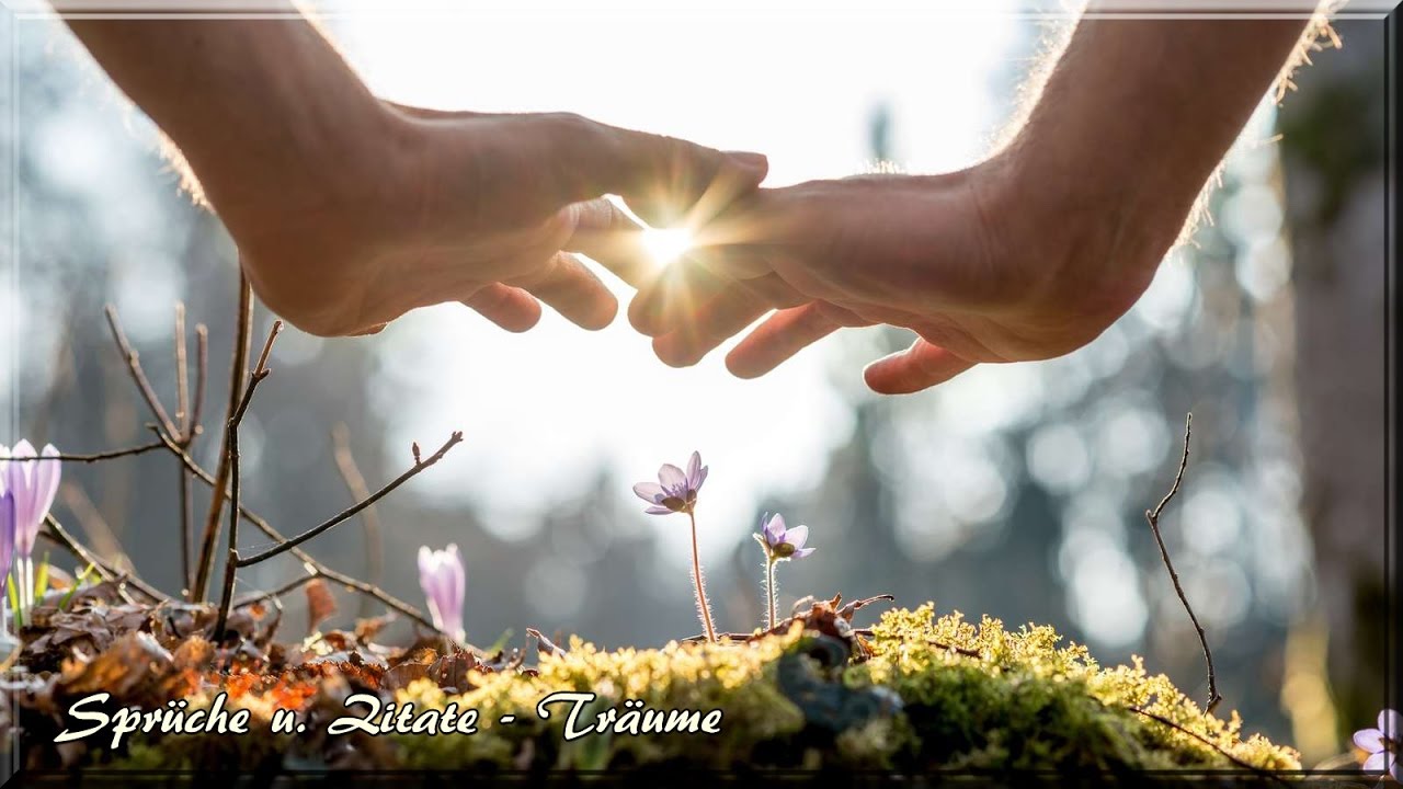 Sprüche u. Zitate ♡ Träume  *❀*