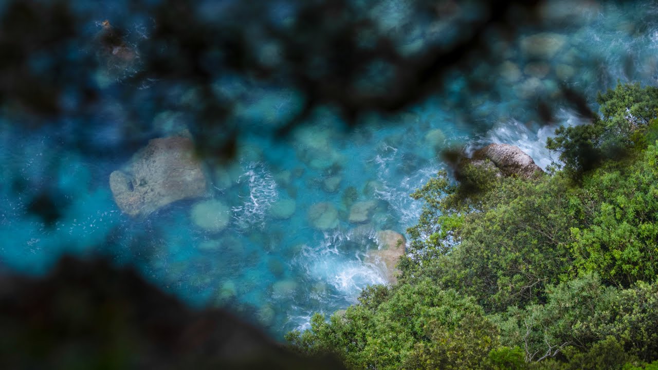 MARISMAS DE SANTOÑA: VOLUMEN III