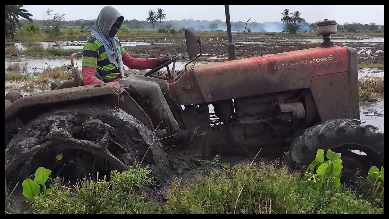 Tafe 45 di 4*4 tractor stuck in mud කොහොමද වගල sri lanka#srilanka