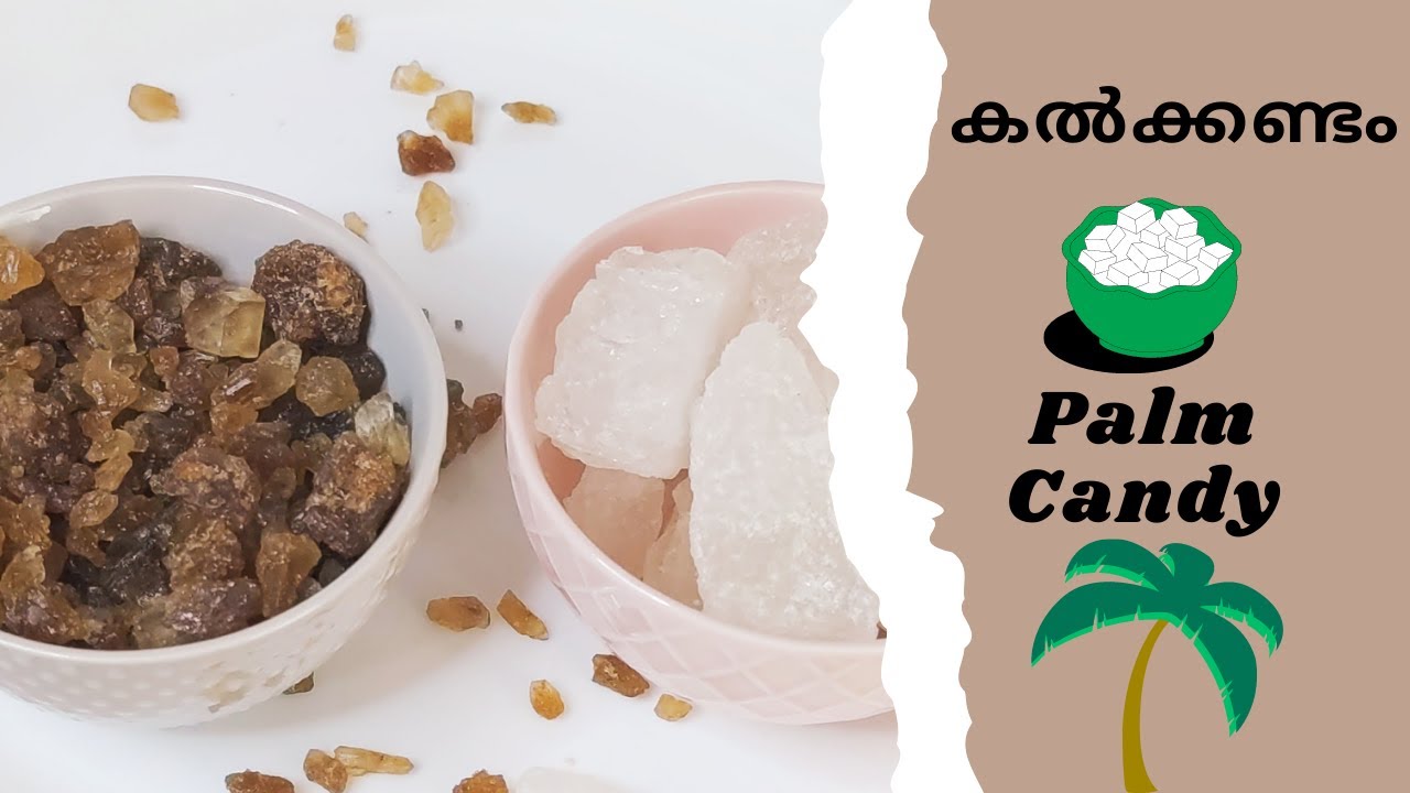 #kalkkandam | Natural Unrefined Sweetener | Palm Sugar | Panamkalkkandam in Malayalam @TastyCurry