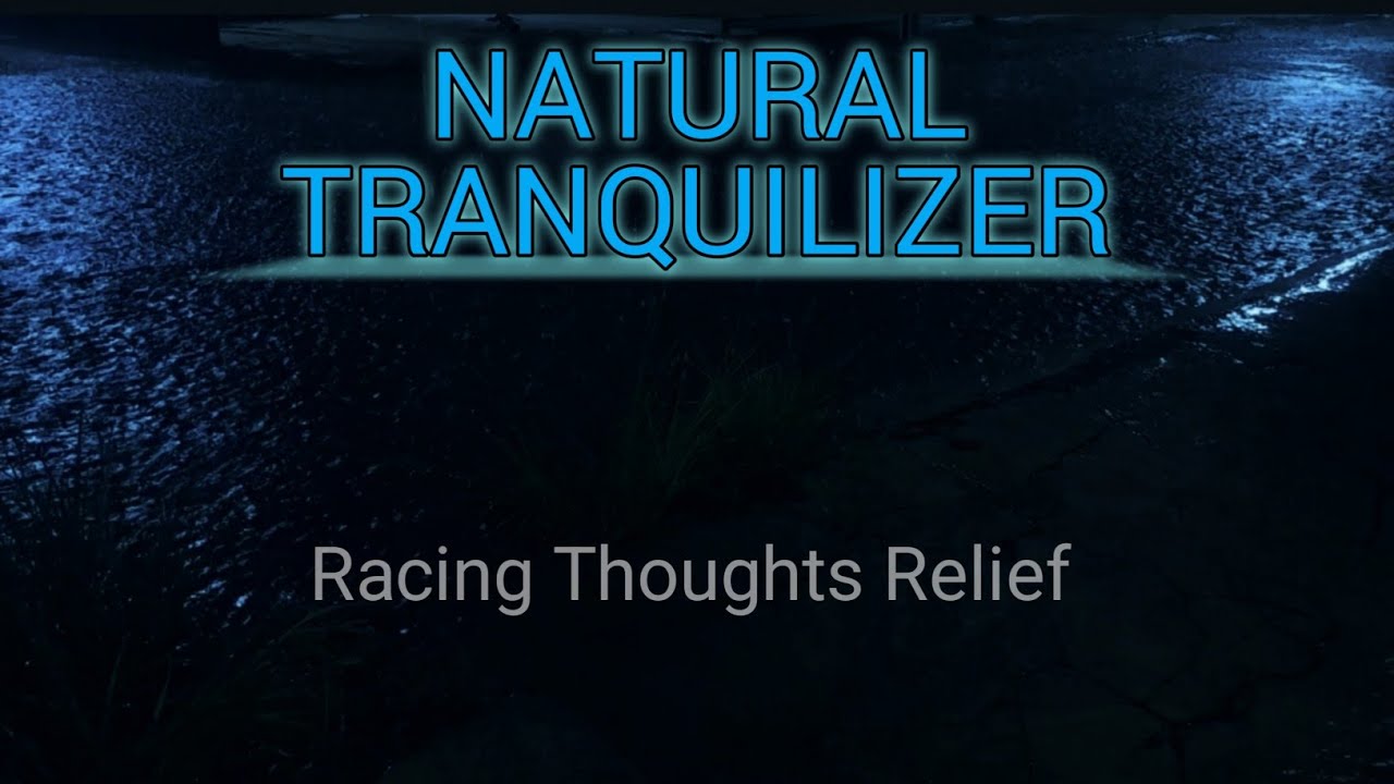 Dark Night Rain for Deep Sleep | Nature’s Tranquilizer for Racing Thoughts