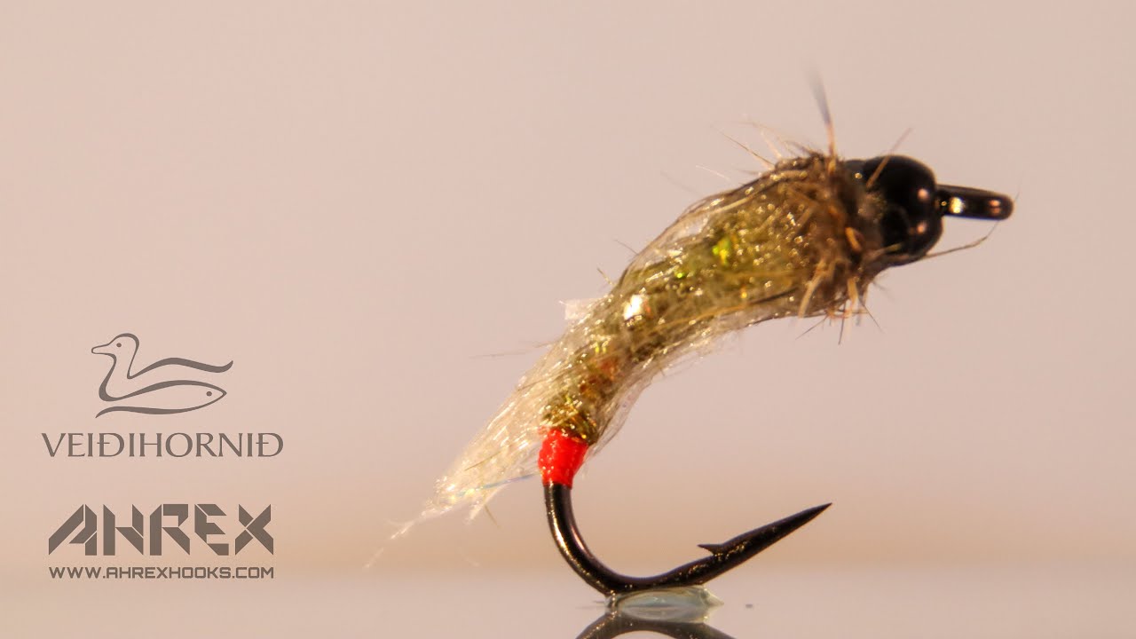 Ólífu Caddis 🇮🇸