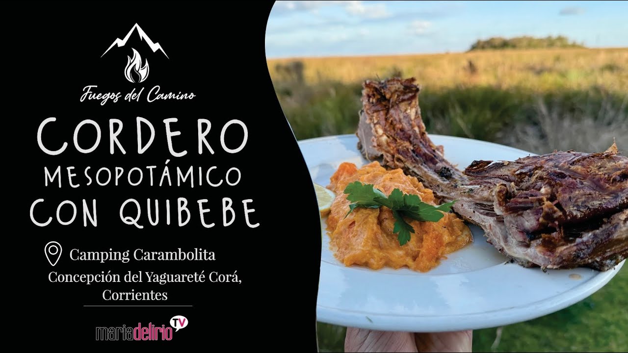 CORDERO MESOPOTAMICO EN CAMPING CARAMBOLITA, ESTEROS DEL IBERÁ.