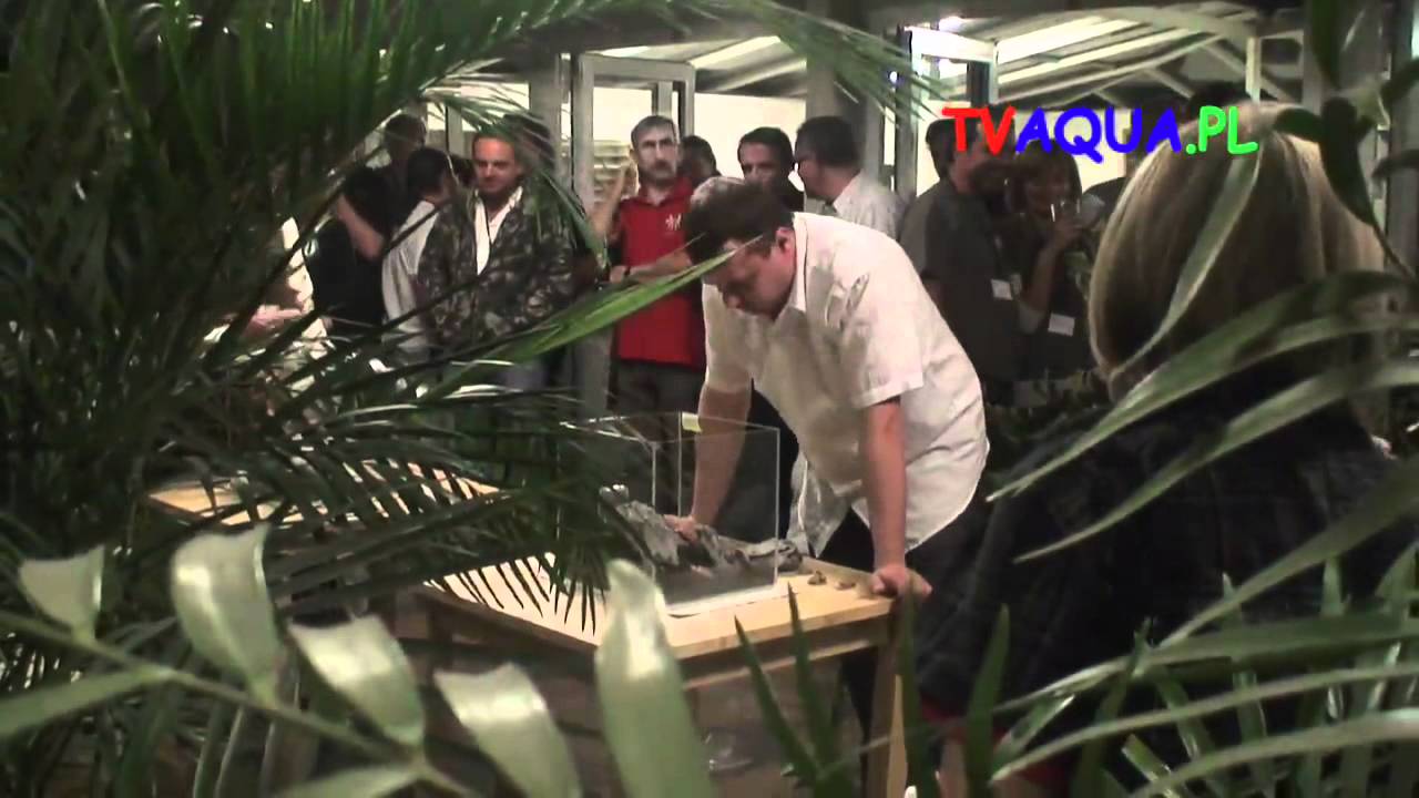 Akwarysci po wykladach KMRW2011-prod.TVaqua.pl.mov