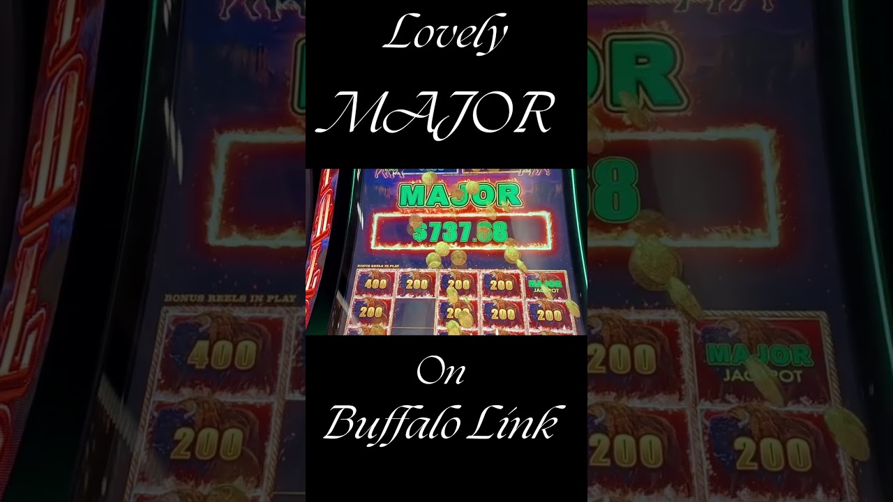 Lovely MAJOR Bonus Win On BUFFALO LINK Slot Machine - SunFlower Slots 
