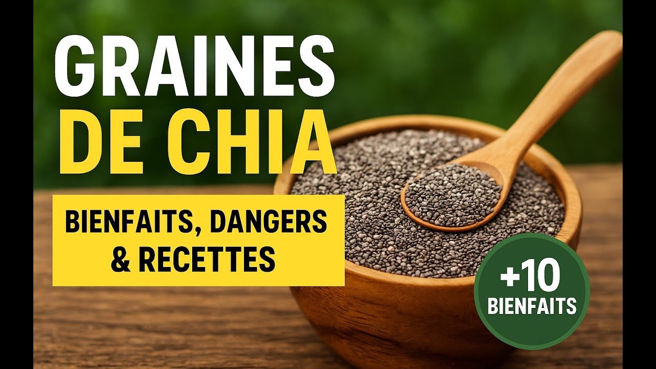 GRAINES de chia  L&rsquo;Aliment Miracle  Bienfaits, Origines, Recettes et Dangers &agrave; Conna&icirc;tre !