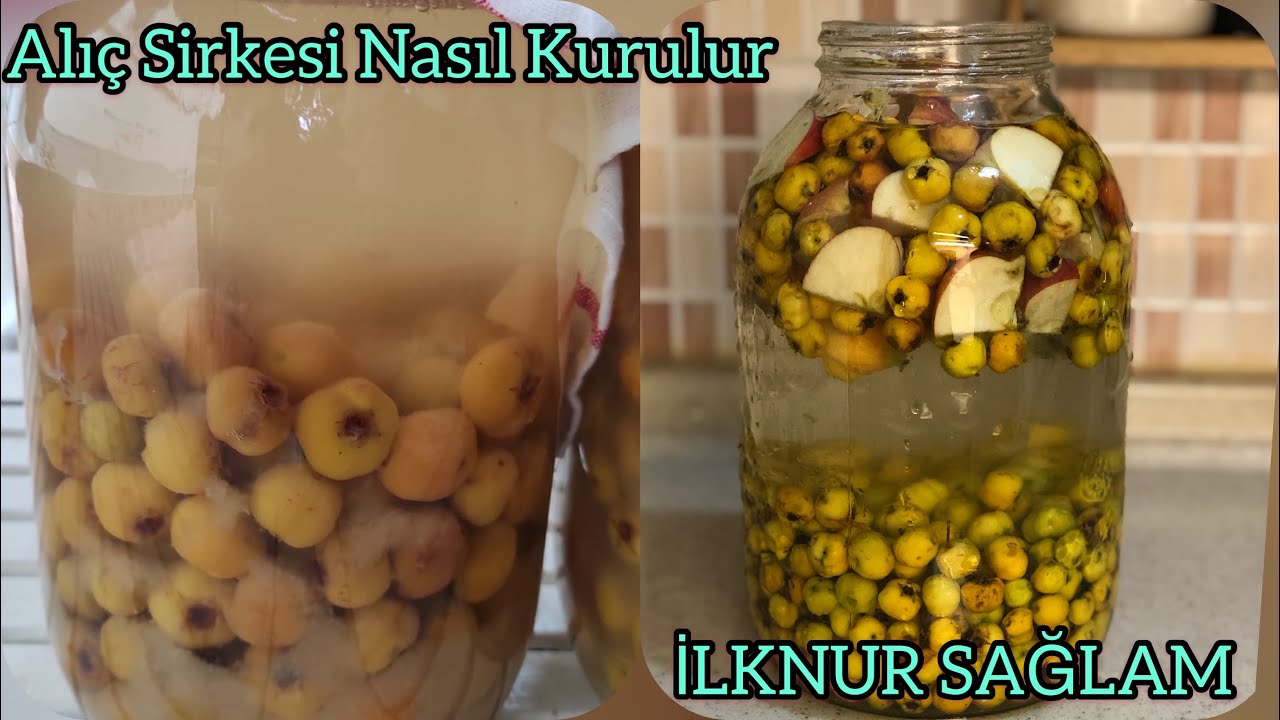 Alı&ccedil; Sirkesi Nasıl Kurulur/ Alı&ccedil; Sirkesi Kurulumu💯Evde Alı&ccedil; Sirkesi