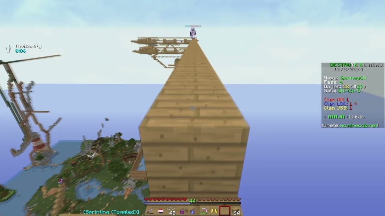 CW MINECUB LDC
