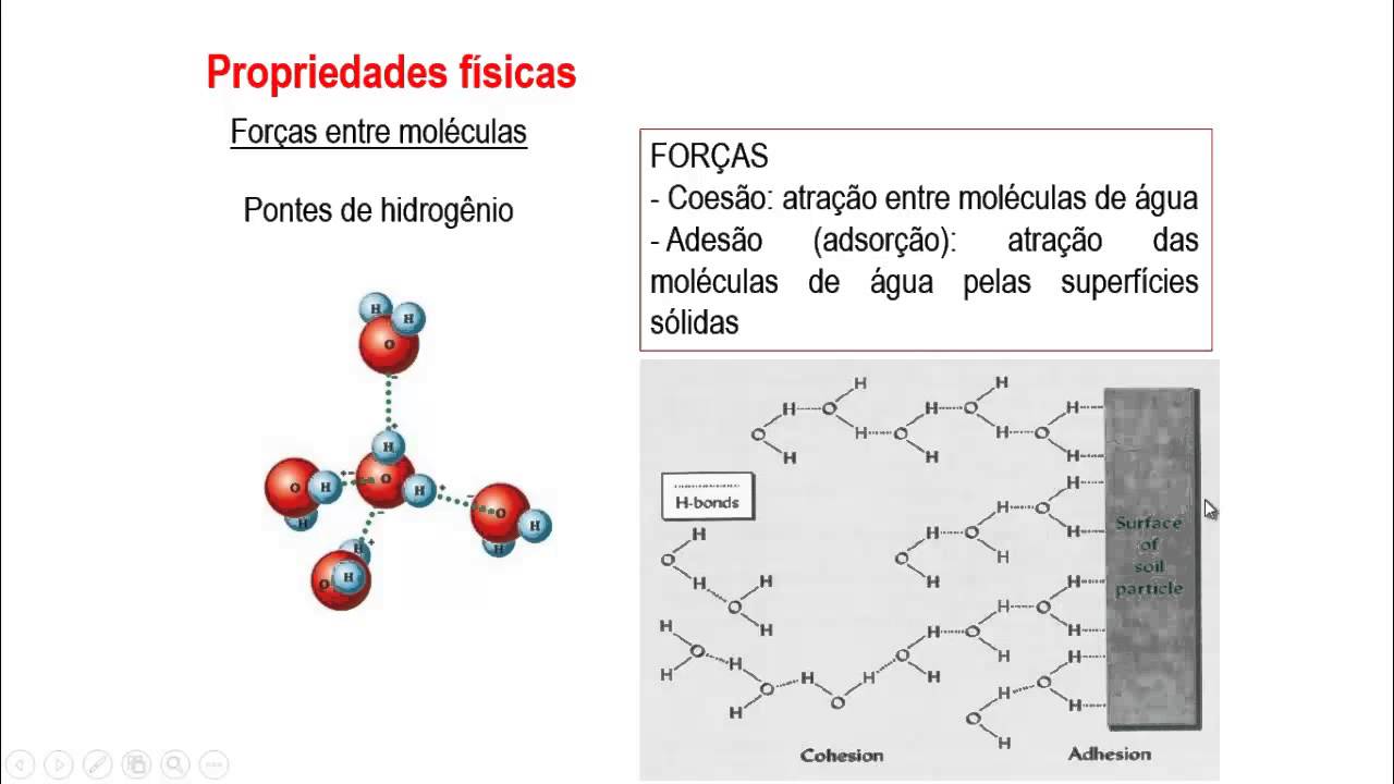 Água no solo - Capilaridade