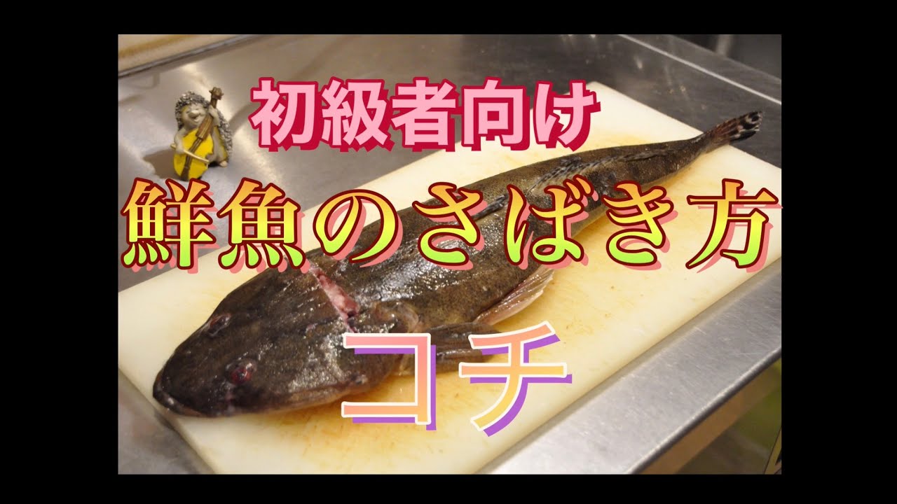 初級者向け鮮魚のさばき方　【コチ】（マゴチ）