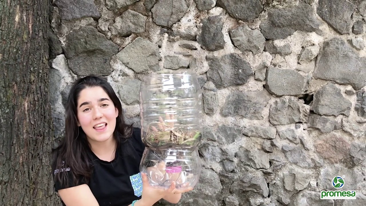 Aprende a hacer una composta dentro de tu departamento