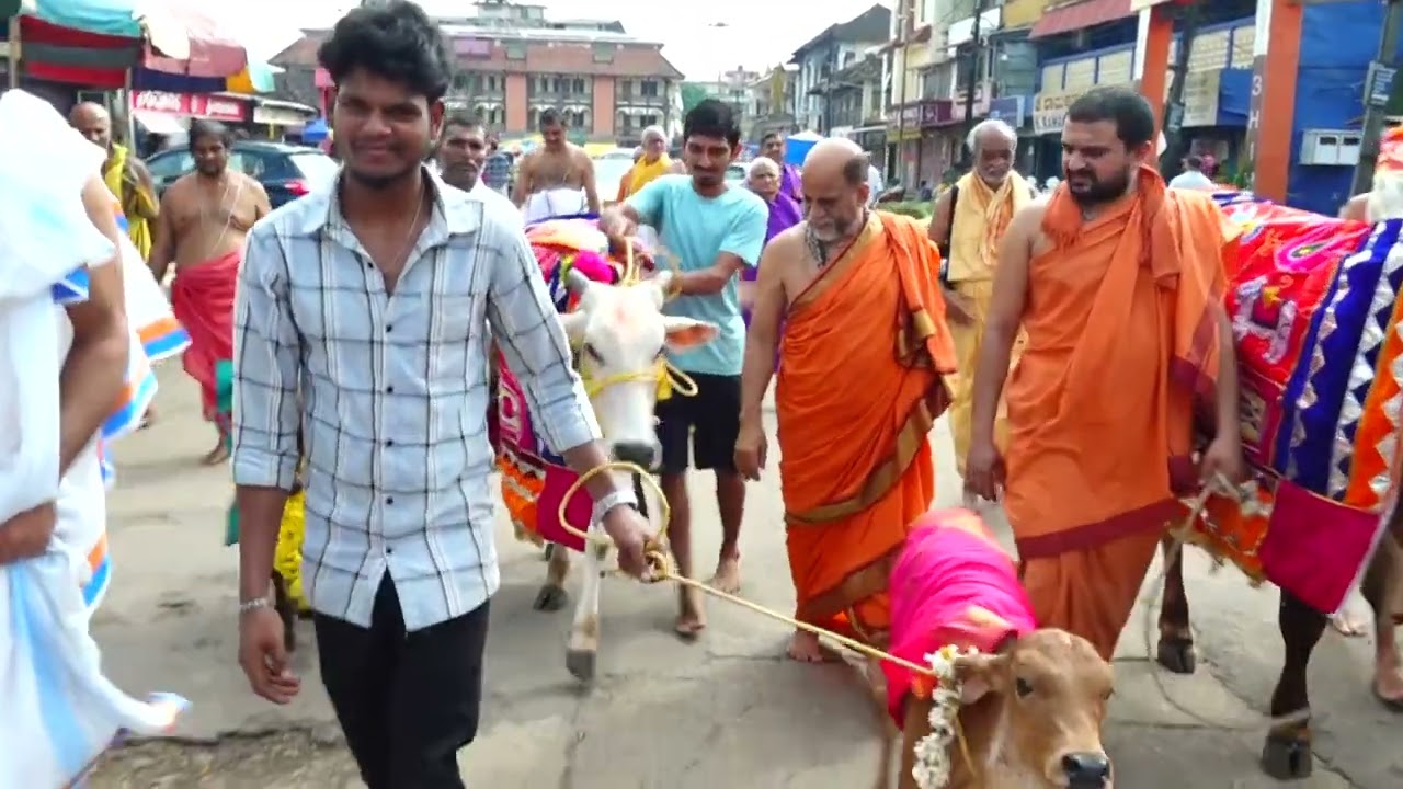 SHORT VIDEO UDUPI GO POOJE  ಗೋಪಾಲಕೃಷ್ಣನ ಸಾನಿಧ್ಯದಲ್ಲಿ ಗೋಪೂಜೆ