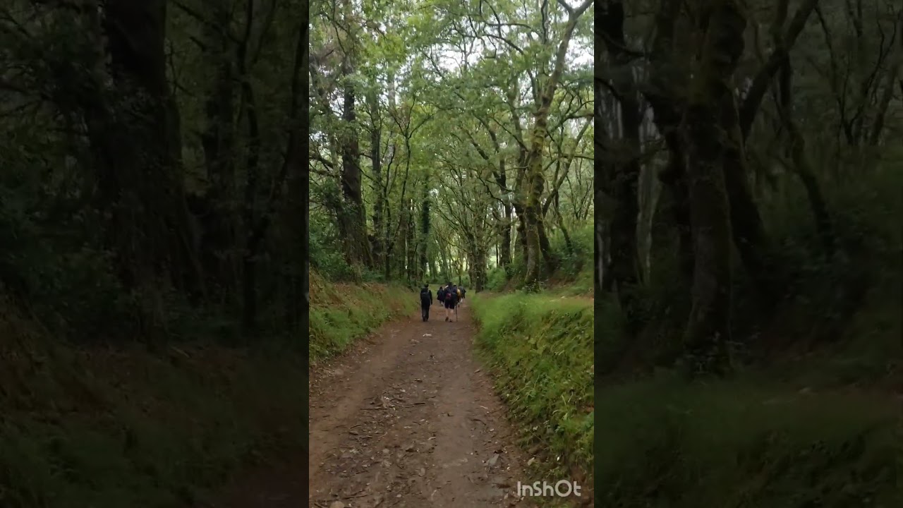 D&iacute;a 32 (2/3) Camino de Santiago: Ribadiso -  O Pedrouzo #caminodesantiago #spain #travel