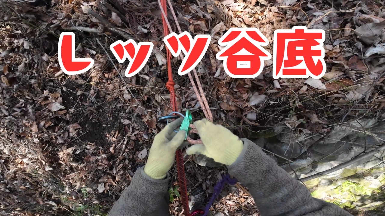 居着きのヤマメに会いたくて候
