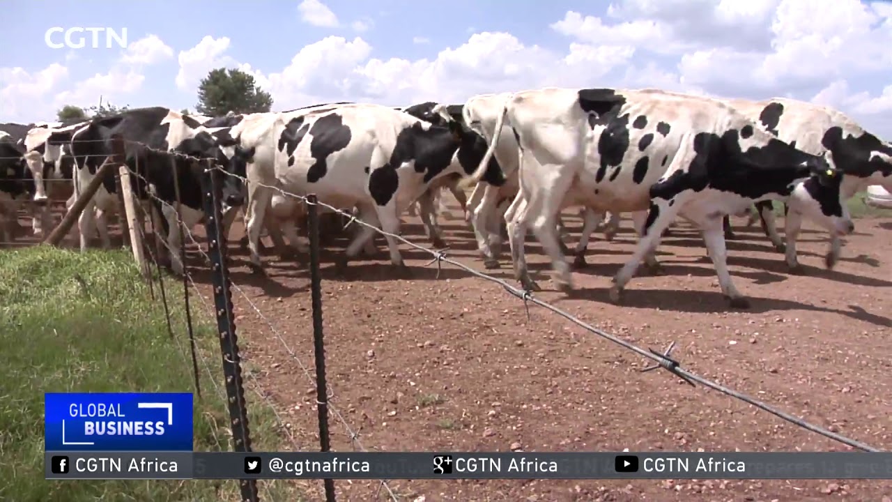 South Africa Land Reforms: Government, 6,600 land claims still outstanding