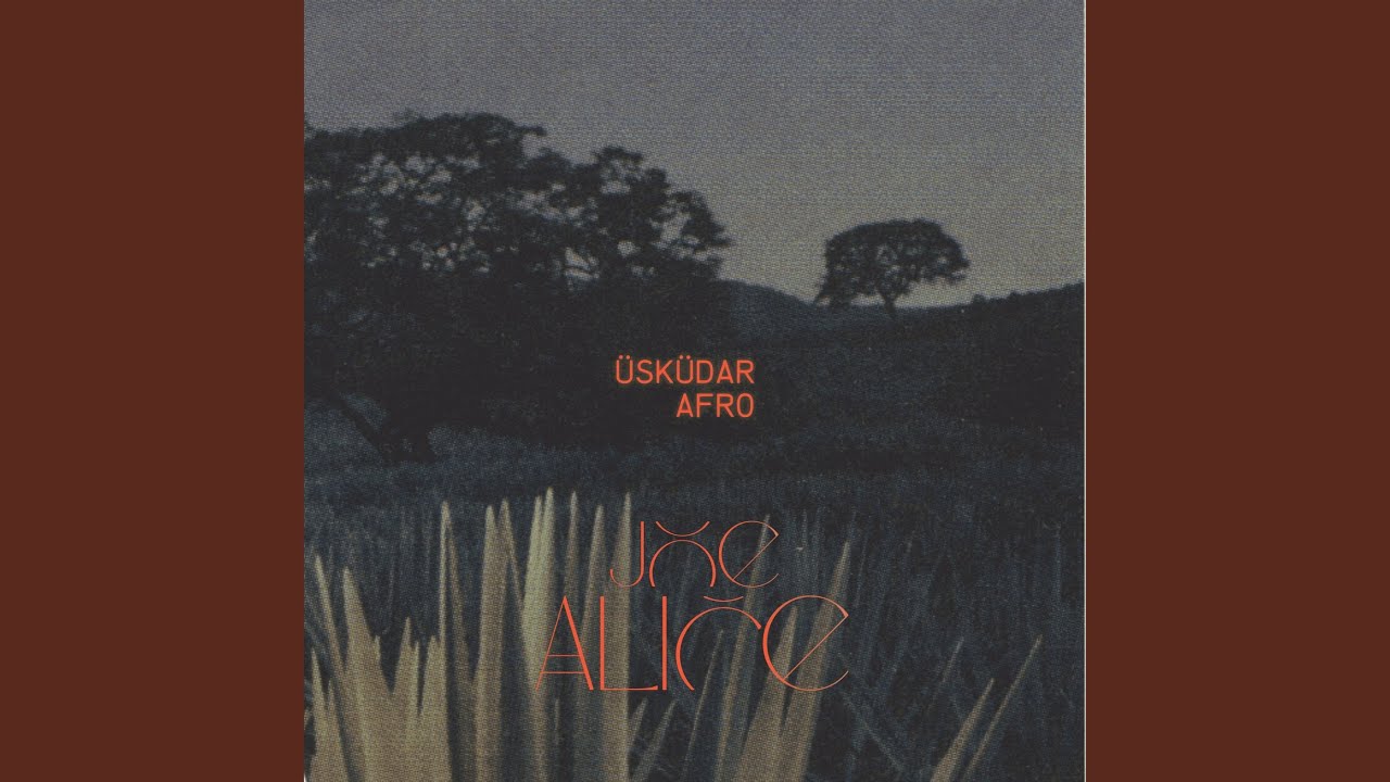 Üsküdar afro