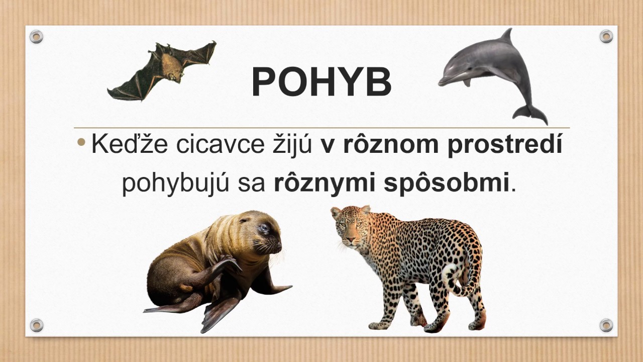 PRÍRODOVEDA pre 3. ročník: Cicavce