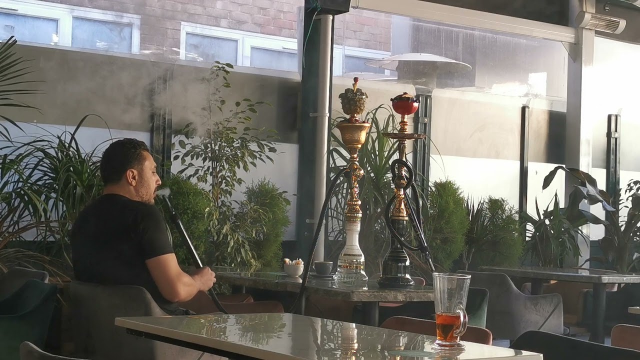 Can I smoke cannabis out of my hookah?🤔🤔🤔 // #shorts #shortsfeed