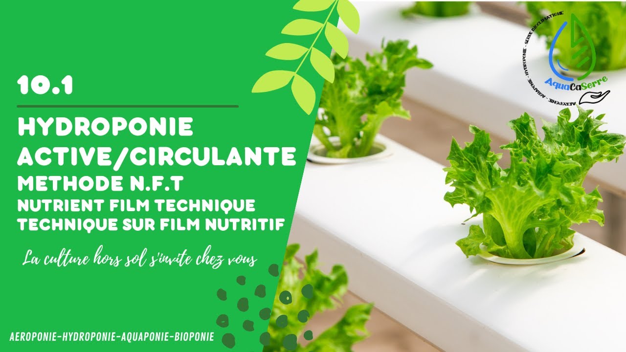 La M&eacute;thode hydroponique NFT (Nutrient Film Technique)