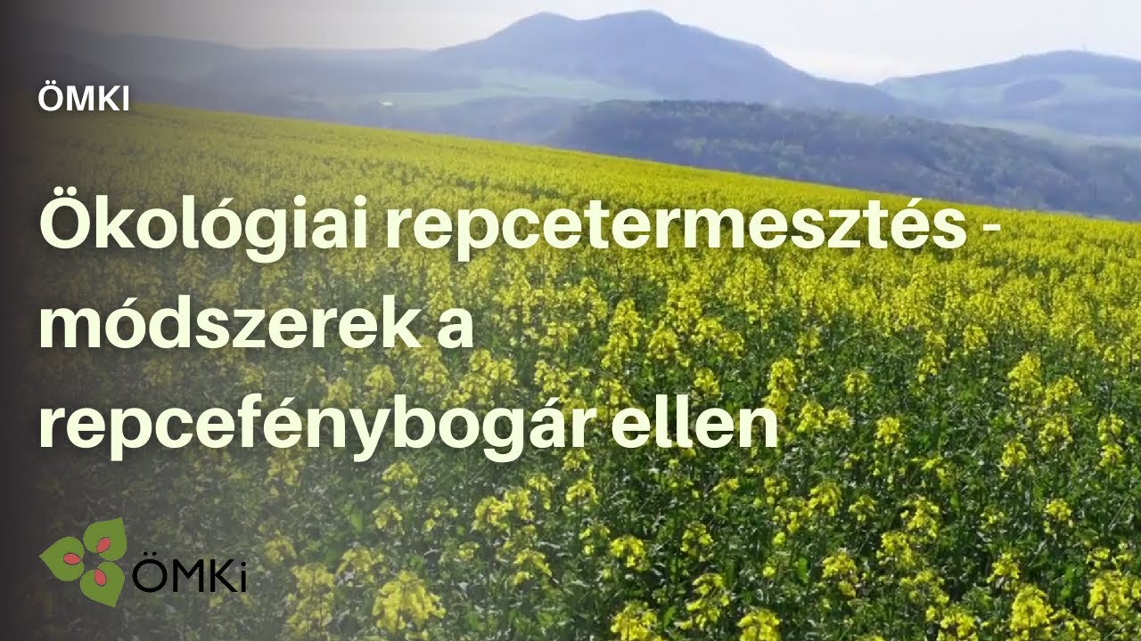 &Ouml;kol&oacute;giai repcetermeszt&eacute;s - m&oacute;dszerek a repcef&eacute;nybog&aacute;r ellen