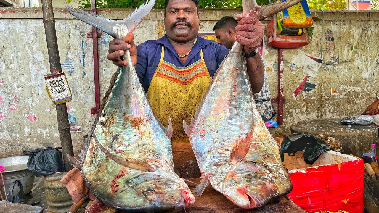 KASIMEDU SPEED SELVAM | HUGE DIAMOND TRAVELLY FISH CUTTING VIDEO | 4K VIDEO | KM FISH CUTTING 