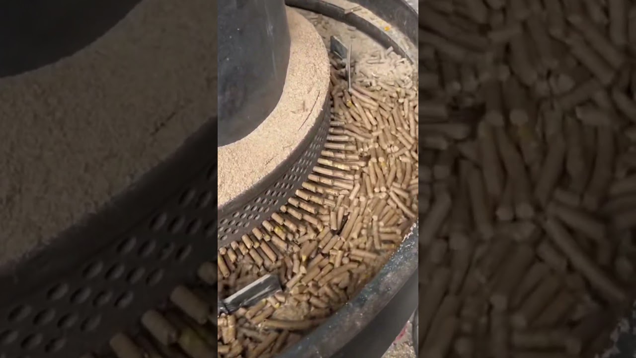 How Are Biomass Pellets Made? Watch This Powerful Machine in Action! 🌿🔥 #machine