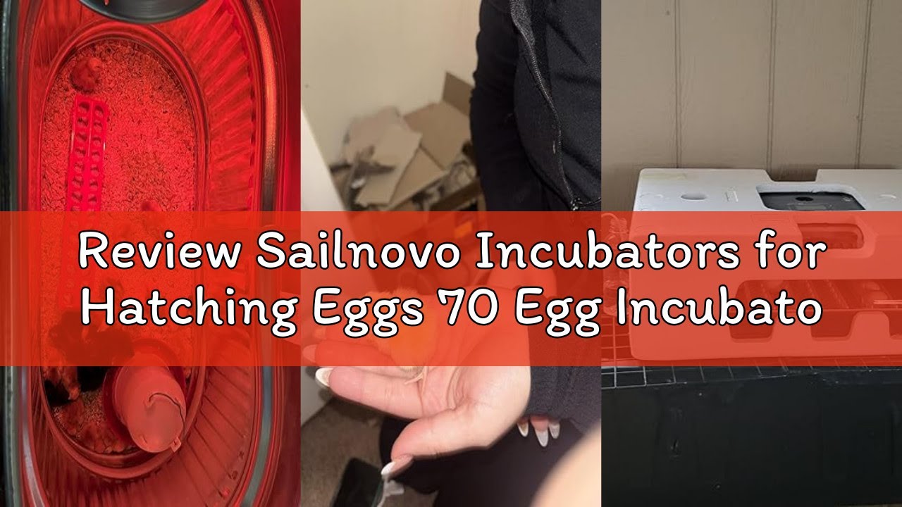 Review Sailnovo Incubators for Hatching Eggs 70 Egg Incubator with Automatic Egg Turning and Auto Hu