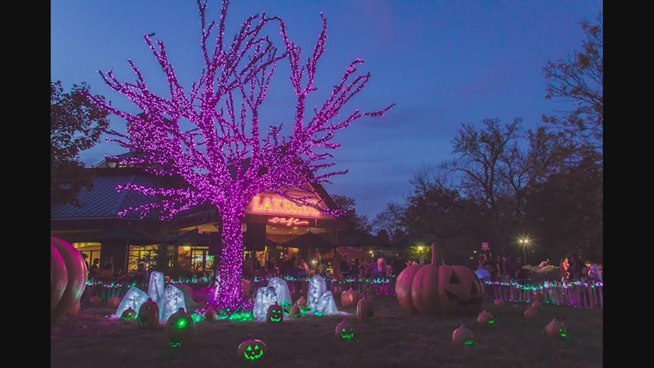 Boo at the Zoo at the St. Louis Zoo