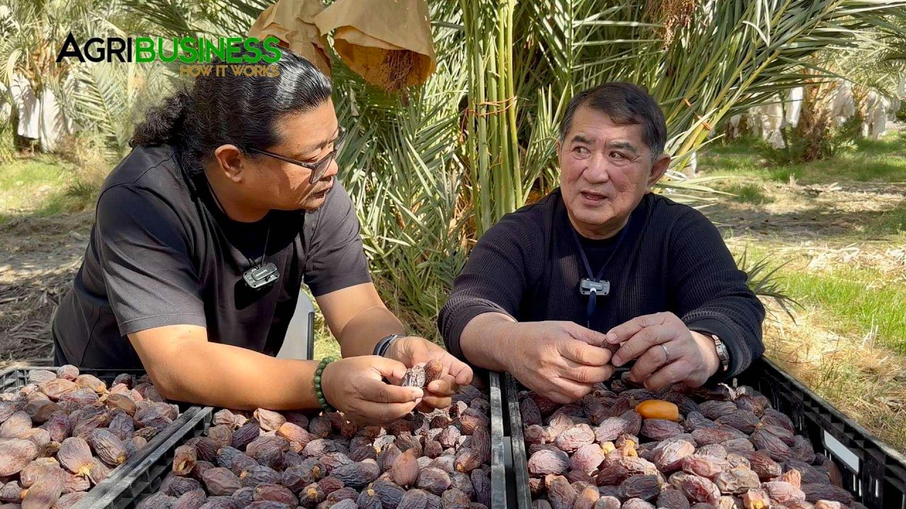 1st PINOY na may DATES FARM sa U.S. - JOMAR HIZON ng PAMPANGA'S BEST!