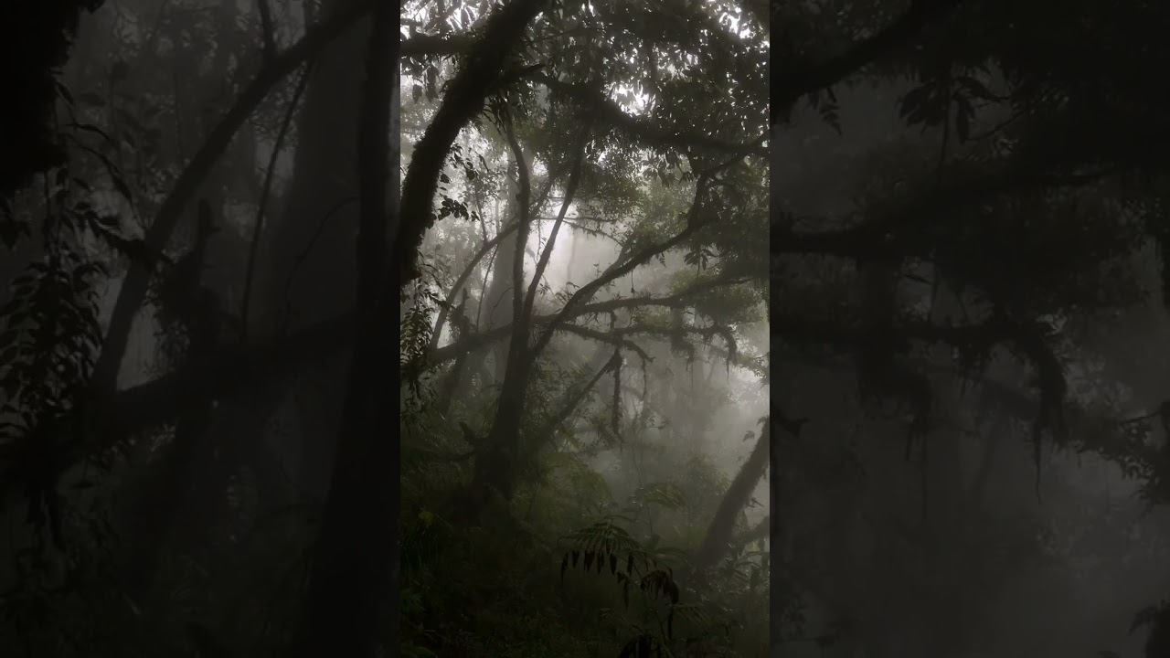Suasana Mencekam Gunung Ungaran