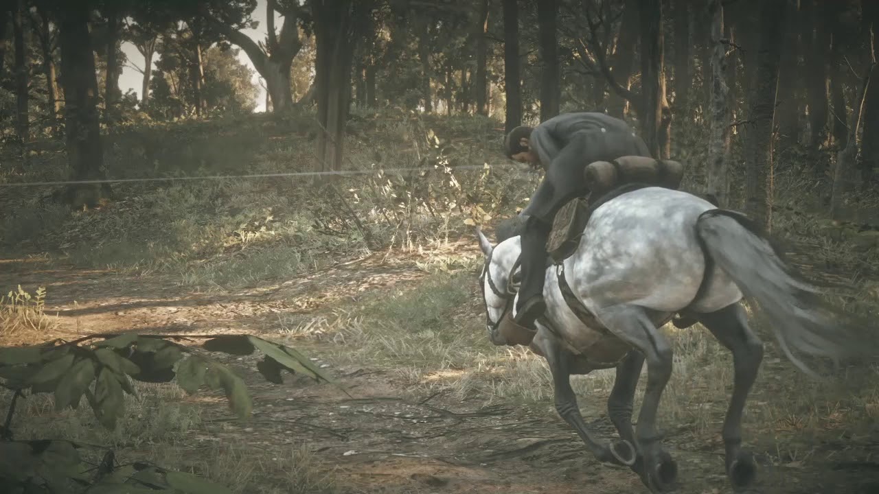 Эпичный выстрел - RDR2 /  Epic shot - RDR2