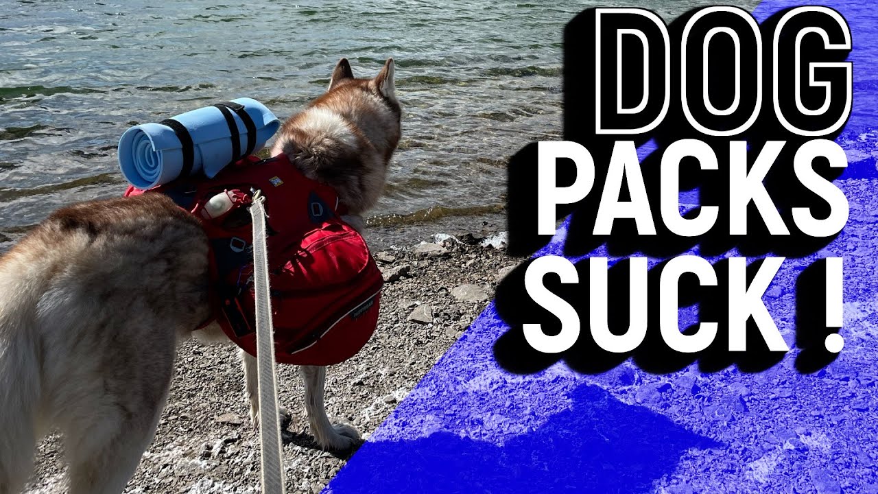 ALL DOG BACKPACKS SUCK: Non-stop Amundsen and Ruffwear Packs etc are all bad in their own way