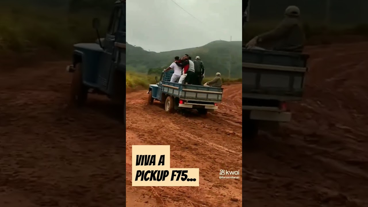 viva a pickup f75, essa Ford &eacute; bruta. #capiaudosul #pickup #pickupf75 #carronalama