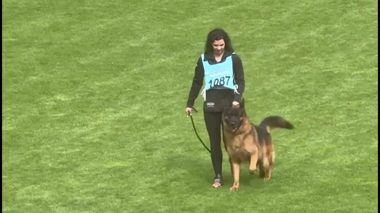 #BSZS2025 QUANTUM di Casa beggiato #TSB