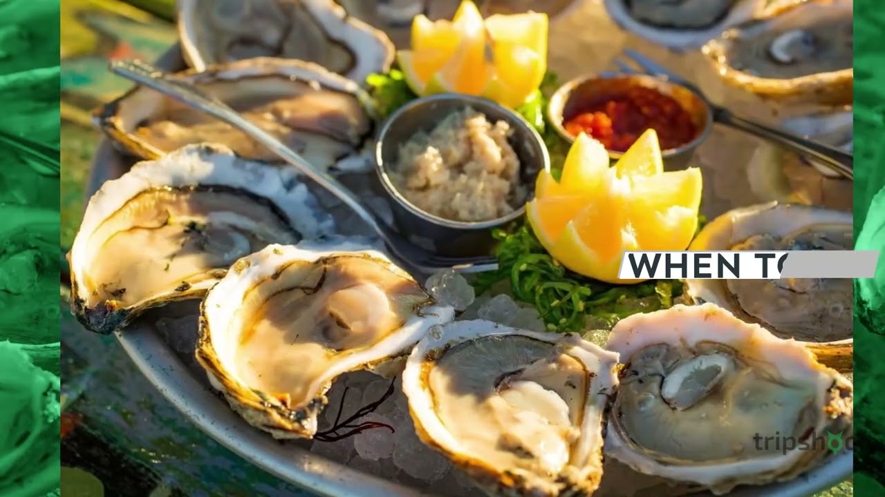 Coligny Beach Park Visitor's Guide