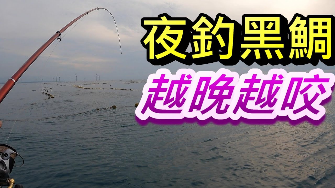 新竹定置漁網魚很多 黑格 沙格 白格 赤翅仔 班頭 體型都不錯 水清咬晚上 水稍微濁咬白天