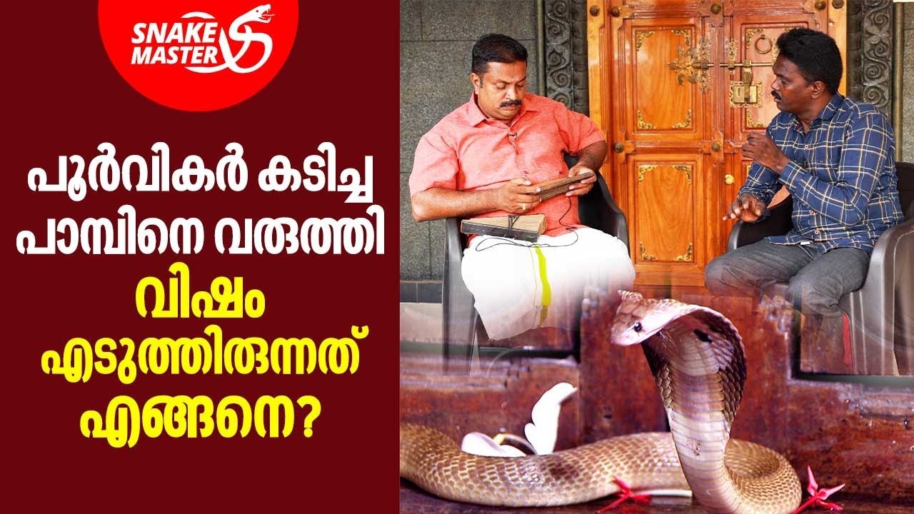 ഒരാളെ പാമ്പ്‌ കടിക്കുന്നത് മുൻകൂട്ടി അറിയാം, താളിയോലയിലെ നിഗൂഢത നിറഞ്ഞ വിദ്യകളും| Snakemaster EP 865