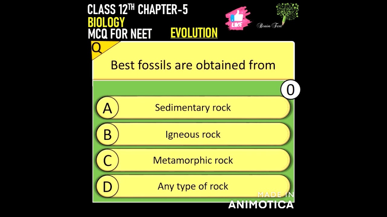 Evolution important mcq for neet 2022