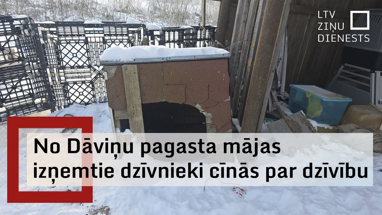 Dāviņu pagastā izņemti 15 antisanitāros apstākļos turēti suņi un trīs kaķi