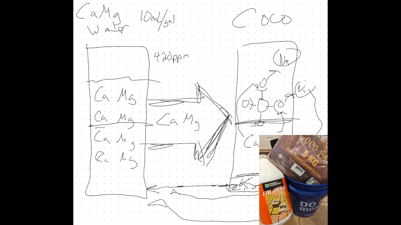 What is buffering anyway? What does buffering coco coir in simple pictures!