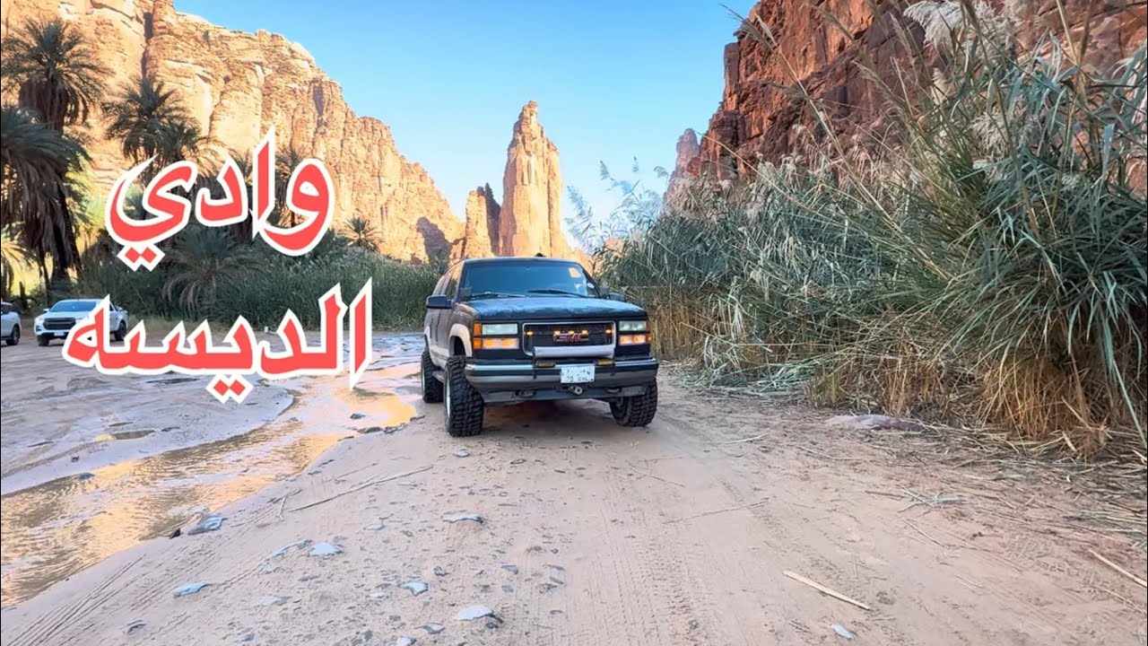 وادي الديسه