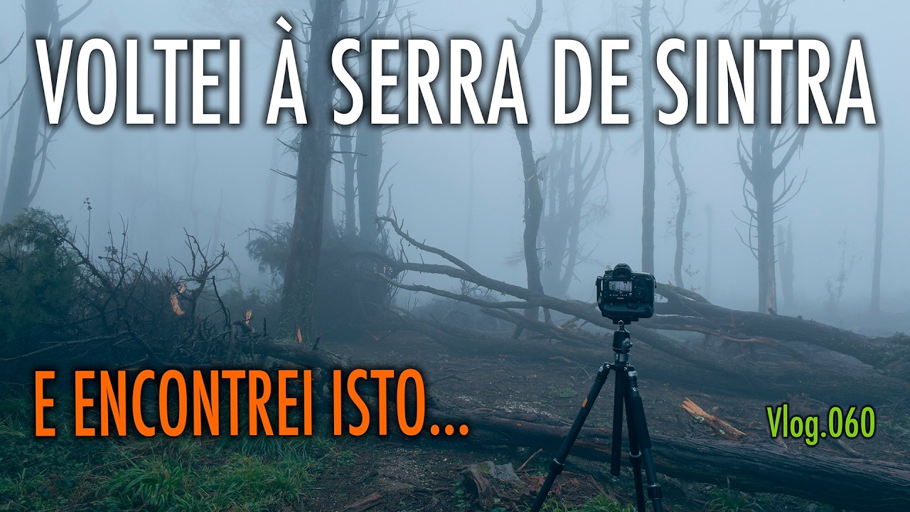 O QUE ENCONTREI AO VOLTAR À SERRA DE SINTRA... | O IMPACTO DAS TEMPESTADES