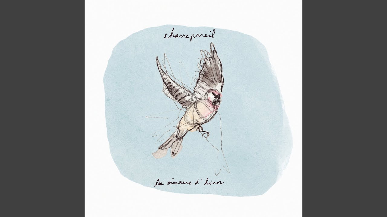 Berceuse pour les oiseaux d'hiver