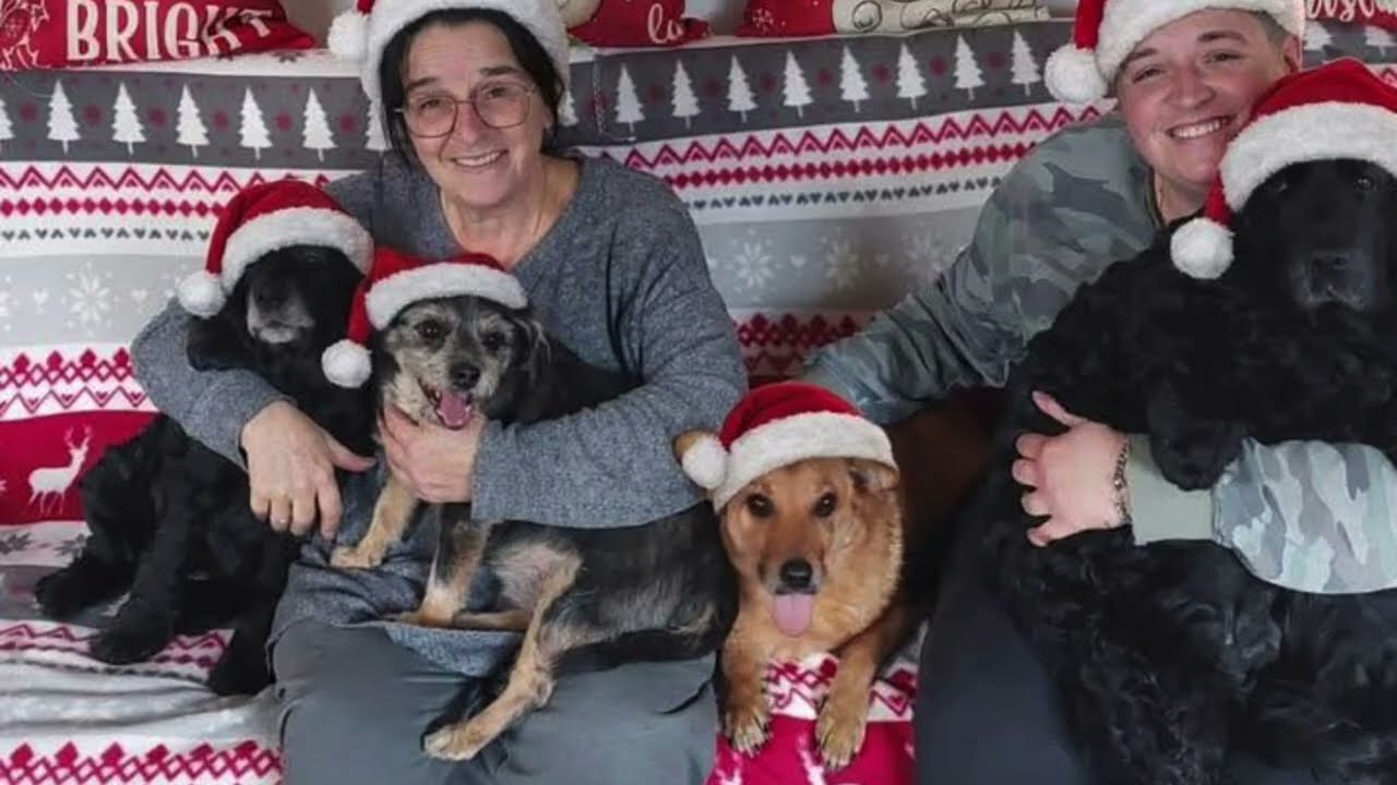 Ist schon wieder Weihnachten? 