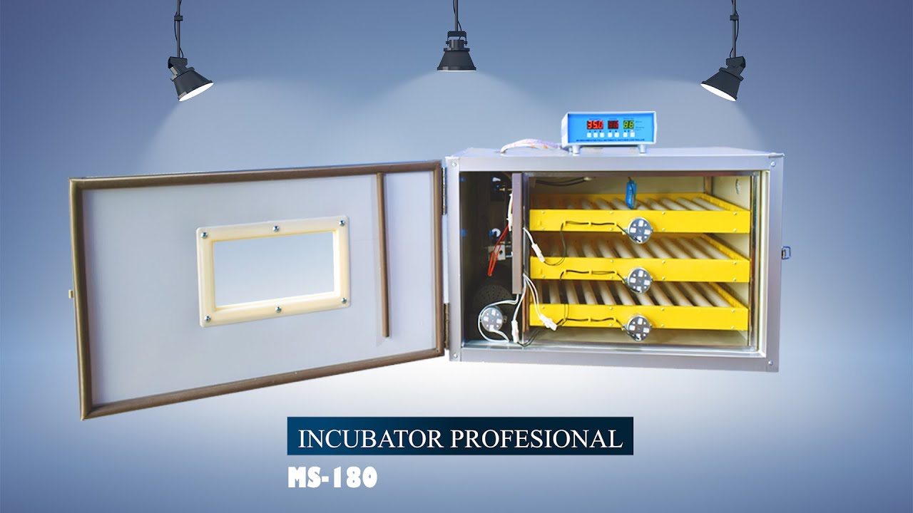 Incubator automat profesional pentru 180 de oua. Professional automatic incubator for 180 eggs.