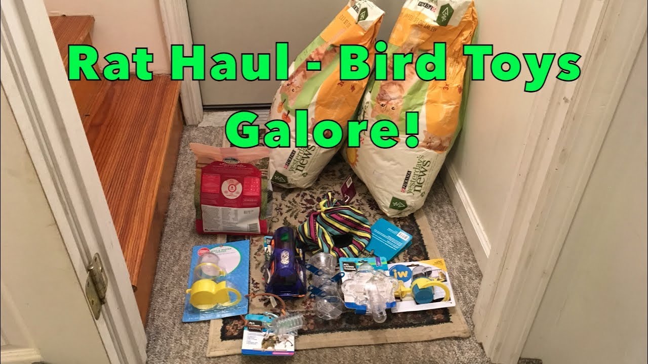 Rat Haul #5 - Bird Foraging Toys Galore!