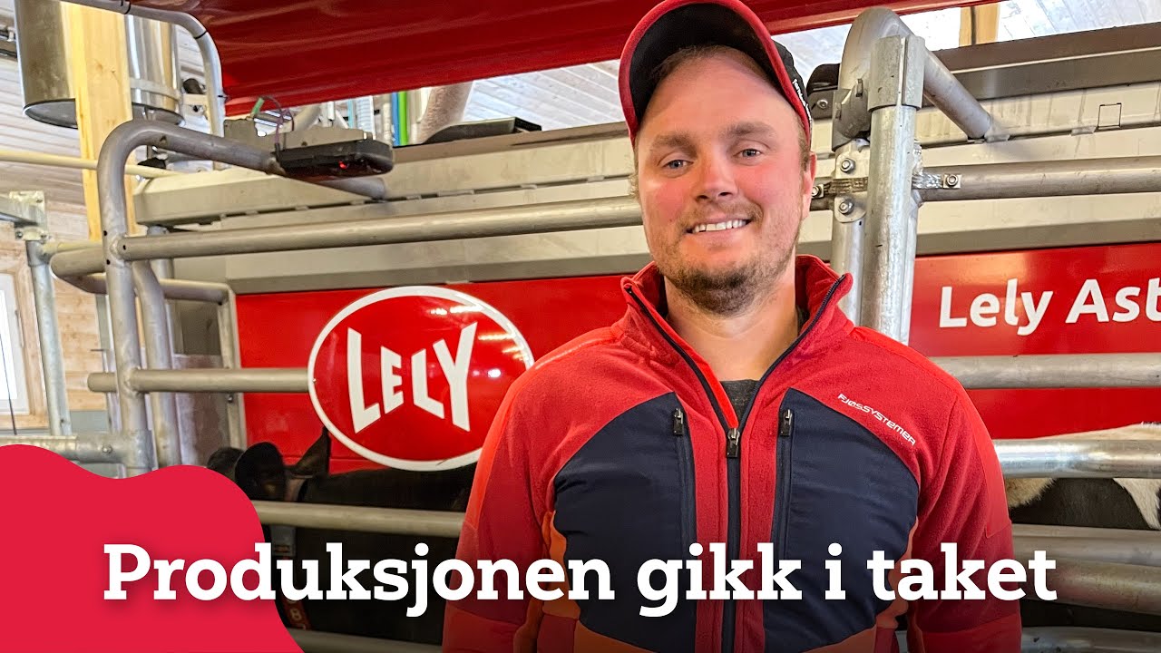 Melke-bonanza med Lely robot hos Martin Ruud-Rehder