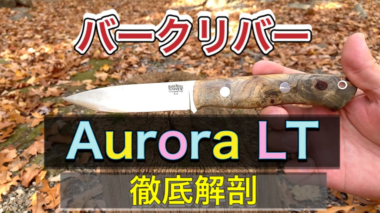 【バークリバー】Aurora(オーロラ) LTのレビュー (前編)