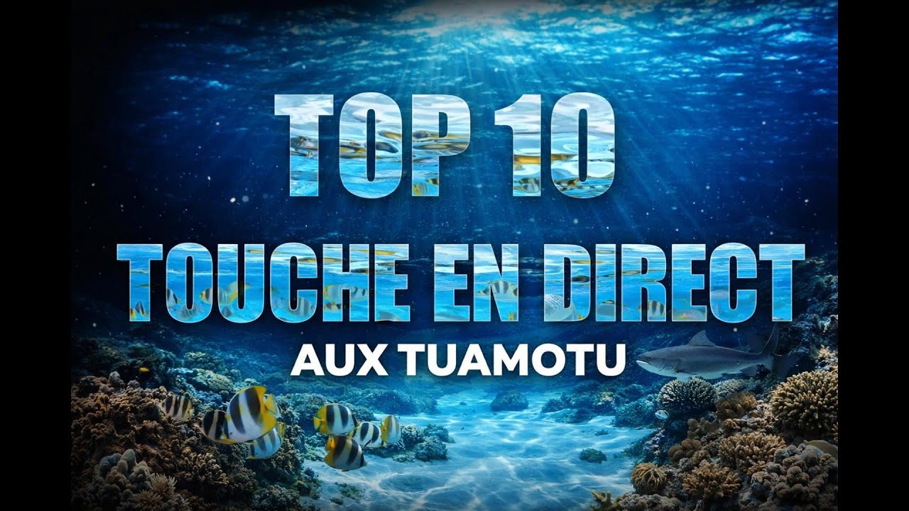 TOP 10 TOUCHES EN DIRECT – PÊCHE AUX TUAMOTU