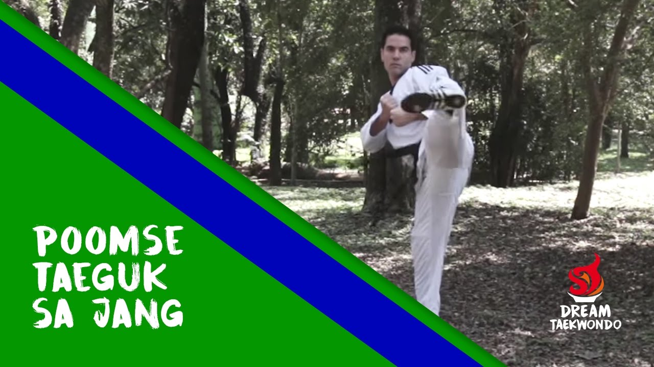 Movimento Faixa Ponta Azul  - Taeguk Sa Jang
